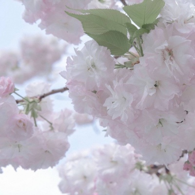 怒江福瑞交流群