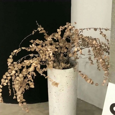 Furry插画细节提升福瑞群